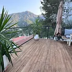 Mavinin Ve Yeşilin Dansı Daire