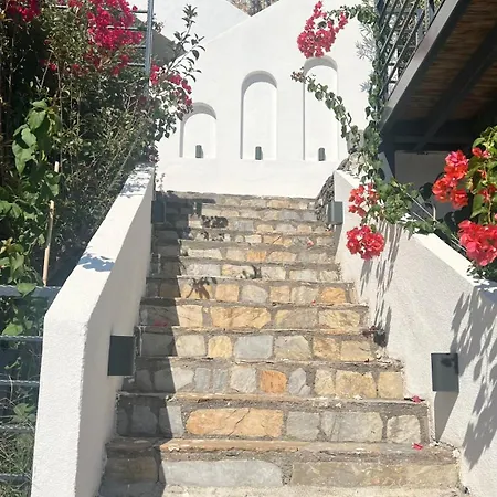 Mavinin Ve Yesilin Dansi, Panoramik Manzara, 75m2 * マルマリス
