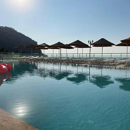 Mavinin Ve Yesilin Dansi