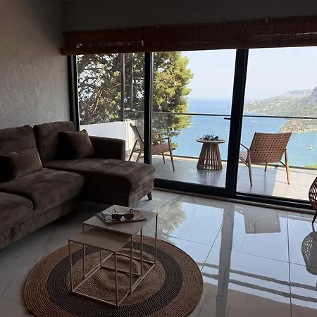 Mavinin Ve Yesilin Dansi *