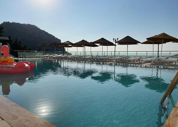 Mavinin Ve Yesilin Dansi