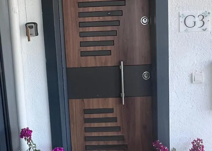 Mavinin Ve Yesilin Dansi 马尔马里斯