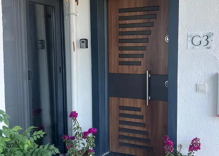 Mavinin Ve Yesilin Dansi 马尔马里斯